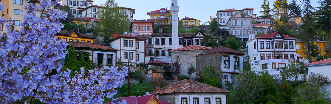 iller_0004_trabzon_1069653188.jpg